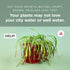 Tap Water Conditioner for Houseplants, Hydroponics, & Aquariums - 16 Oz to Remove Chlorine and Buffers pH