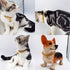 18K Gold Cat Dog Collar, 0.6inch 15mm Wide Stainless Steel Kitten Choker with Bell, Dog Neck 12"-14"