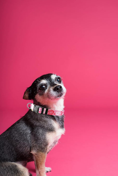 Cute Floral Pattern Dog Collar, Soft Adjustable Collar with Quick Release Buckle (XS, Hawaiian Pink, Neck 9-13", Width