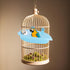 Pssopp Bird Bathtub, Hanging Bird Bath Cube Cute Pet Bird Bathing Box Bird Shower Bathtub Accessories with Mirror pet