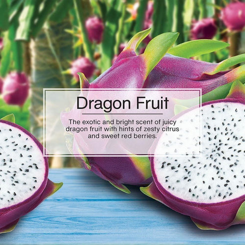 U6P-60397: Little Trees Dragon Fruit