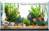 Clear Aquarium Fish Shrimp Feeding Dish Set, Includes Tube, Cleaning Brush, Measuring Spoon for Feeding Supplies