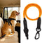 PetBonus Dog Seat Belt for Car, Durable Rope Dog Car Harness Seatbelt
