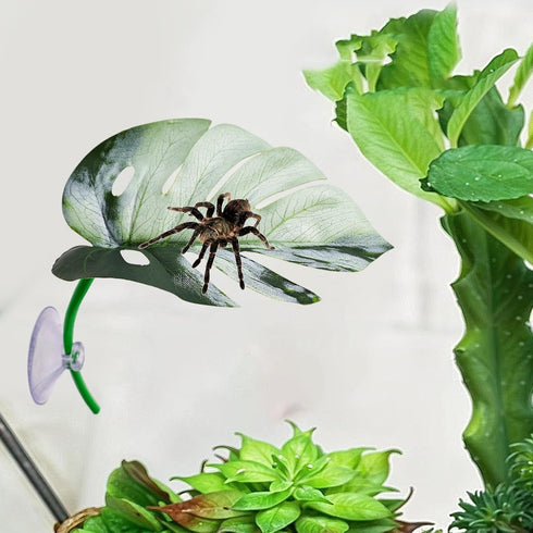 Generic Reptile Jumping Spider Toy, Realistic Leaf Shape Hermit Crab Accessory, Spider House Decor for Terrarium