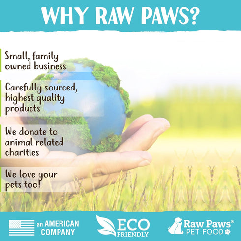 Raw Paws Green Lamb Tripe Sticks for Dogs, 10-Count, Crunchy All Natural Dog Treats, Single Ingredient, Grass-Fed &
