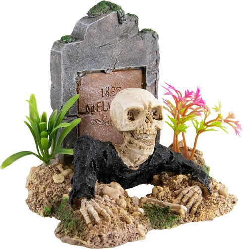 Underwater Treasures Zombie Skeleton