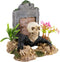 Underwater Treasures Zombie Skeleton