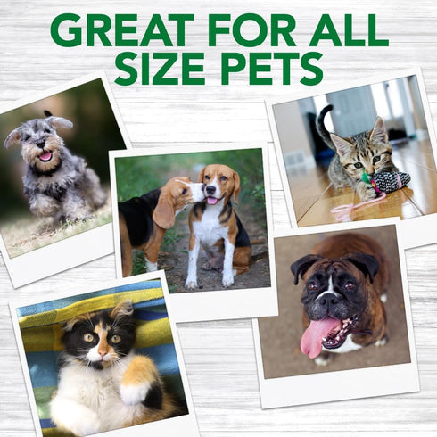 10 Pack Vets Best Dog Toothbrush - Easy Teeth Cleaning for Dog Dental Care, Perfect for Dogs and Cats - Comes With Soft
