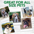 10 Pack Vets Best Dog Toothbrush - Easy Teeth Cleaning for Dog Dental Care, Perfect for Dogs and Cats - Comes With Soft