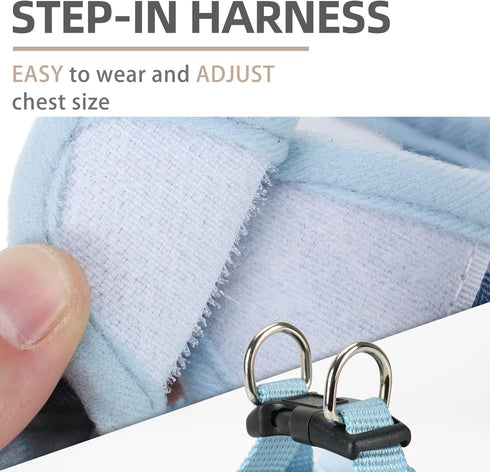 PUPTECK Adjustable Dog Harness Collar and Leash Set, Step in No Pull Pet Harness for Small Medium Dogs, Blue