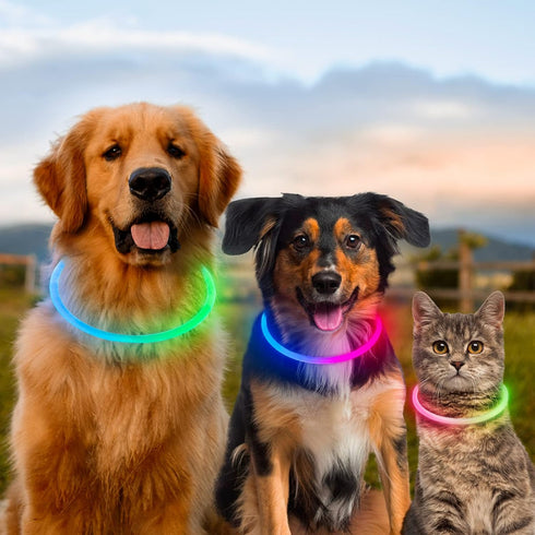 Light Up Dog Collars, Multi-Color USB Rechargeable LED Collar, TPU Cuttable Size Glow Collar for Large Medium Small
