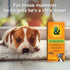 Chaos & Cuddles 50970 Pet Mess Starter Cleaning Kit, 26 Fl Oz