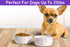 Ceramic Dog Bowl Set with Anti-Slip Rings, 5" Round x 2" Tall, Set of 2 for Small Dogs, White Dog Food Bowls