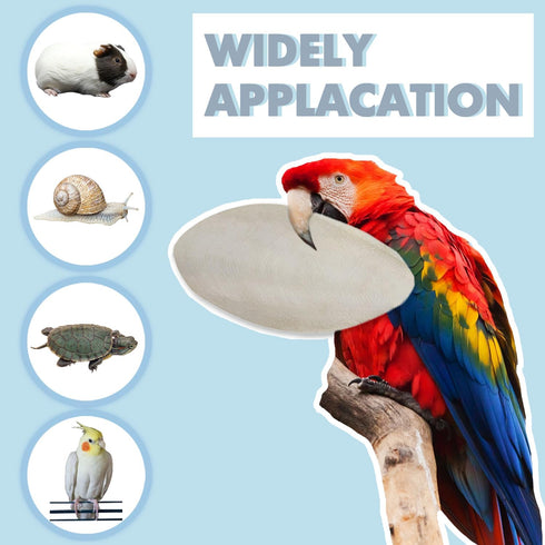 Jmxu's 5"-5.5" Bird Cuttlebone for Parakeets, Cuddle Bone with Metal Holder, Natural Calcium for Parrots, Cockatiels,