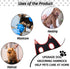 Pet Grooming Hammock - 13 PCS Grooming Kit for Cats & Dogs, Includes Nail Clippers, Scissors, and Steel Comb