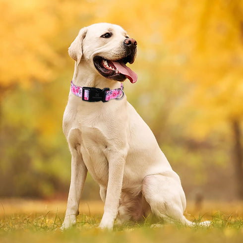 Maca Bates Designer Flower Pink Dog Collar, Cute Spring Collars for Small Medium Large Female Dogs
