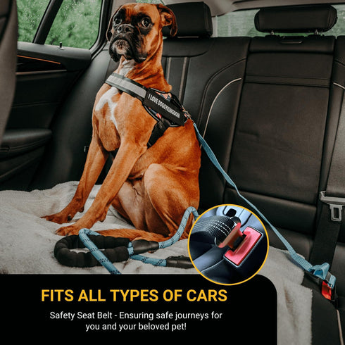Set DOGGYKINGDOM Personalized Dog Harness and Leash with Seat Belt for Car, No Choke, Reflective, Adjustable Soft