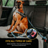 Set DOGGYKINGDOM Personalized Dog Harness and Leash with Seat Belt for Car, No Choke, Reflective, Adjustable Soft