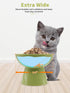 Elevated Cat Food and Water Bowls Set, Extra Wide Raised Ceramic Feeder, Anti-Vomit for Cats and Small Dogs