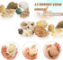 Hermit Crab Shell - Opening Size 0.6"-2", Medium to Large Growth Turbo Seashells for Aquarium Décor, Nautical
