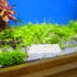 Aquarium Shrimp Habitat Hideout - Multi-Hole Breeding Cave for Fish