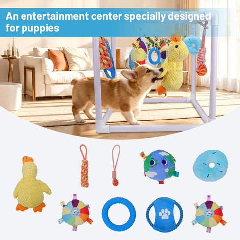9 BABORUI Puppy Play Gym, Indoor Hanging Activity with Toys, Puppy Toys to Keep Them Busy, Adjustable Playground