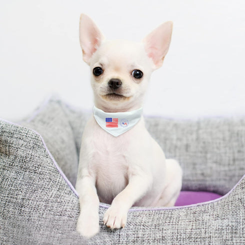 2 PCS Dog Bandana with Adjustable Buckle, Double-Sided Blank Dog Bandanas with D-Ring for Small Dogs and Cats