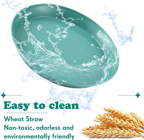 Gerrii 24 Pieces Cat Bowl - 6 Inch Shallow Whisker Fatigue Relief Dish for Kittens and Short Legged Cats