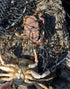 2 24" 20" 14" Crab Trap Hoop Net Ring Trap for Pier Dock Jetty Dungeness Rock Blue Crabs with Float, Line Bait Clip
