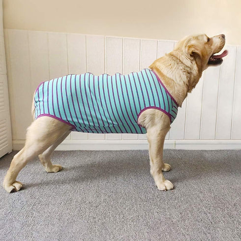 Dog’s Recovery Suit Post Surgery Shirt for Male Female Dog, E-Collar Alternative Wound Protective Clothes (Purple