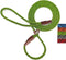 Slip Lead Dog Leash, 1/4" x 5ft No Pull Slip-on Training Leash for Small and Medium Dogs (Green)
