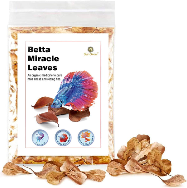 SunGrow 50 pcs Catappa Indian Almond Leaves - 2” Water Conditioner Leaves for Betta Fish Tank