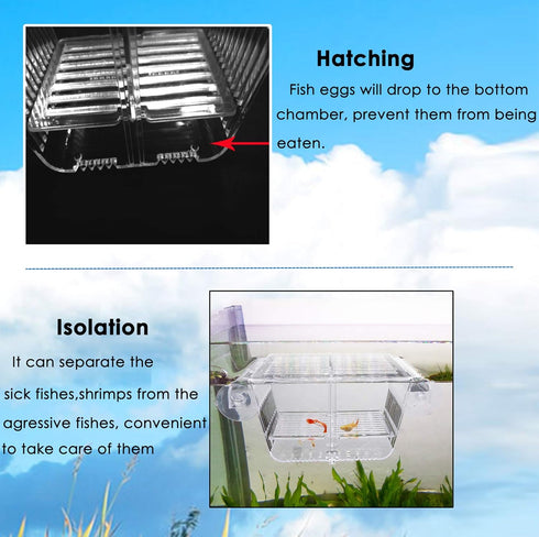 capetsma Acrylic Fish Breeding Box with Suction Cups, Isolation Hatchery Incubator for Baby Fishes, Small Size (S)
