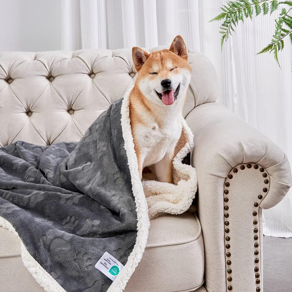 Qeils Dog Blankets for Small Dogs, Waterproof Cat Blanket, Washable Sherpa Fleece Puppy Blanket, Dark Grey (30"X40")