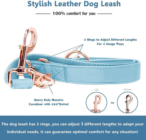 Soft Leather Dog Collar and Leash Set (6.6'), Stylish Rose Gold Heavy Duty Metal Buckle, 4 Adjustable Lengths for Small