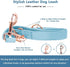 Soft Leather Dog Collar and Leash Set (6.6'), Stylish Rose Gold Heavy Duty Metal Buckle, 4 Adjustable Lengths for Small
