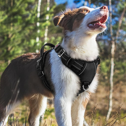 rabbitgoo Medium Dog Harness, No Pull Vest with 3 Buckles, Adjustable Soft Padded Harness with Easy Control Handle,