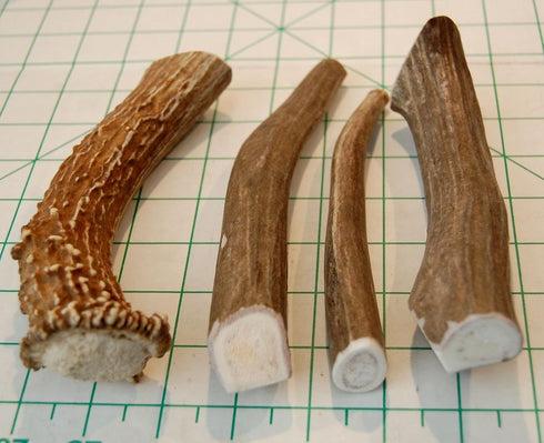 Premium Deer Antler Pieces - Dog Chews, Antlers by The Pound, One Pound, 6 Inches or Longer