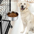 Dog Bowl, Stainless Steel Pet Hanging Food Water Bowl, Feeder for Dogs, Cats, Rabbits (Large, 2pcs)