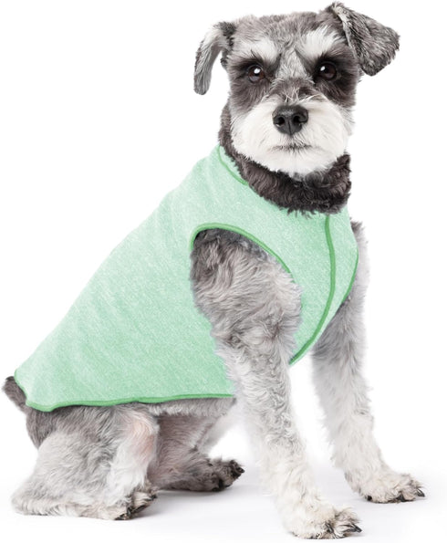 Goldpaw UV Protection Sun Shield Tee for Dogs and Cats - UPF50+ Cooling, Great for Anxiety, Pistachio Green, 10