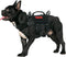 OneTigris Tactical Dog Harness - Military Vest with Handle for Small Dogs, Outdoor Training Walking