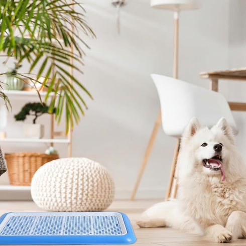 1 (25.6 18.9 Inch,Blue) Mifoci Pcs Dog Potty Tray Mesh Puppy Training Pad Holder Floor Protection Portable Pee Pad Pet