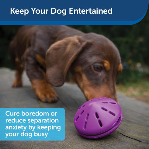 PetSafe Busy Buddy Twist 'n Treat Dispensing Dog Toy - Large Size