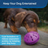 PetSafe Busy Buddy Twist 'n Treat Dispensing Dog Toy - Large Size