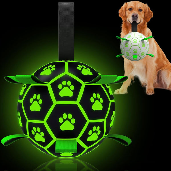 Glow in The Dark Dog Toys Soccer Ball - Light Up Outdoor Interactive Toy for Small & Medium Dogs, 8 Inch