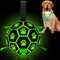 Glow in The Dark Dog Toys Soccer Ball - Light Up Outdoor Interactive Toy for Small & Medium Dogs, 8 Inch