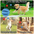 Dog Treat Toy Ball - Dog Tooth Cleaning Toy, Interactive Dog Toys, Pack of 2