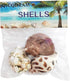 3 PCS Natural Hermit Crab Shells - 2~2.7 Inch with Opening Size 1~1.3 Inch Supplies