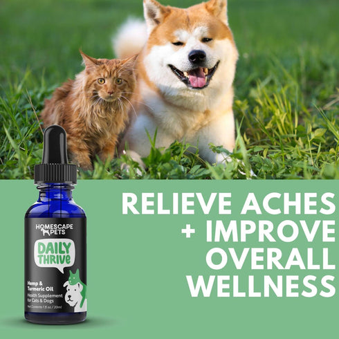 Homescape Pets Daily Thrive - Hemp Oil & Turmeric for Cats & Dogs, Anti-Inflammatory Pain Reliever