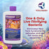 DrTim's Aquatics Reef One & Only Nitrifying Bacteria - For Reef, Nano, Seahorse Aquaria, 8 Oz. Fish Tank Cleaner